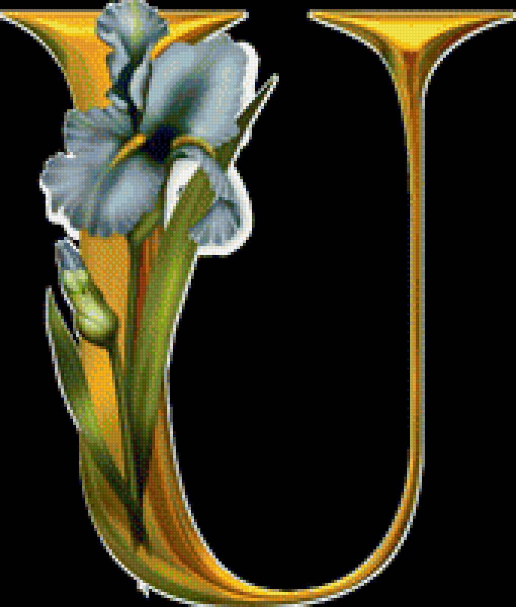 Алфавит с цветами - английский, абетка, цветы, алфавит - предпросмотр