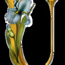 Алфавит с цветами