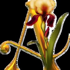 Алфавит с цветами