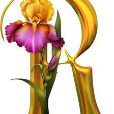 Алфавит с цветами