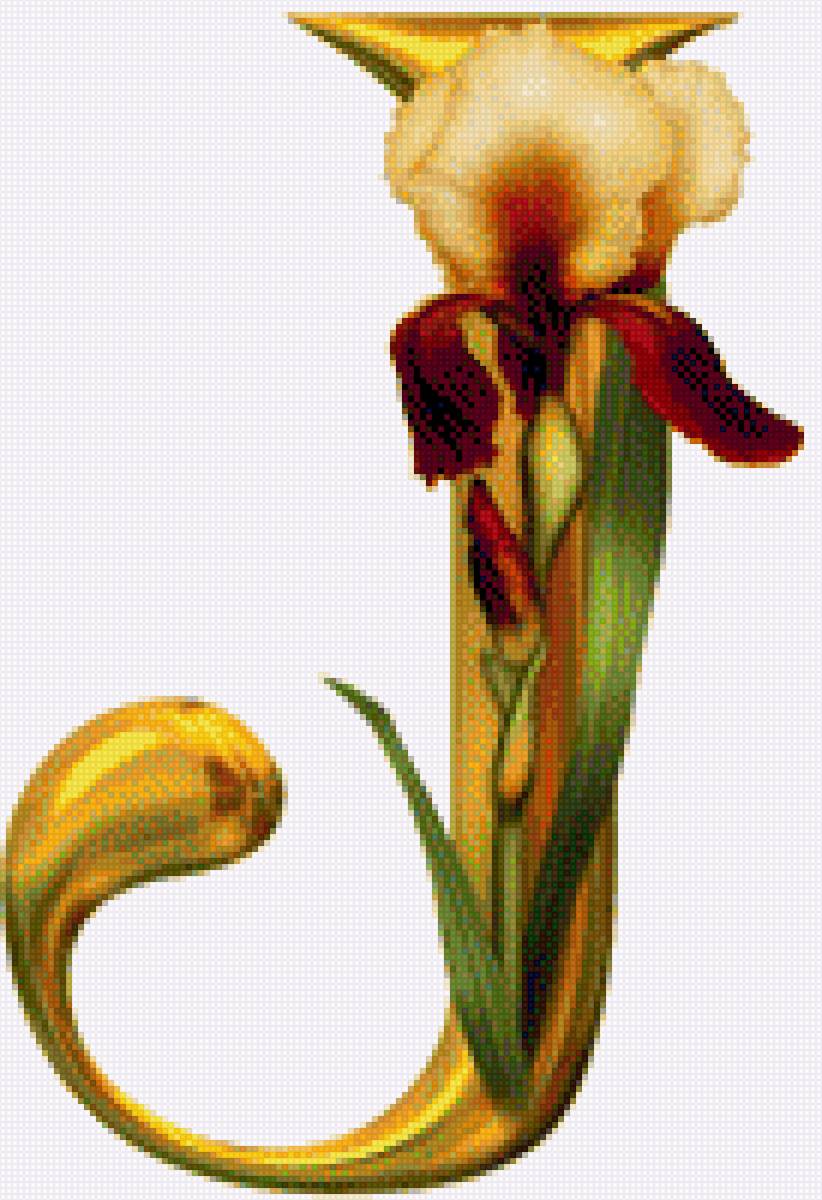 Алфавит с цветами - алфавит, английский, цветы, абетка - предпросмотр