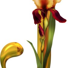 Алфавит с цветами