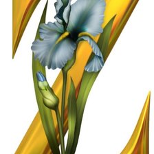 Схема вышивки «Алфавит с цветами»