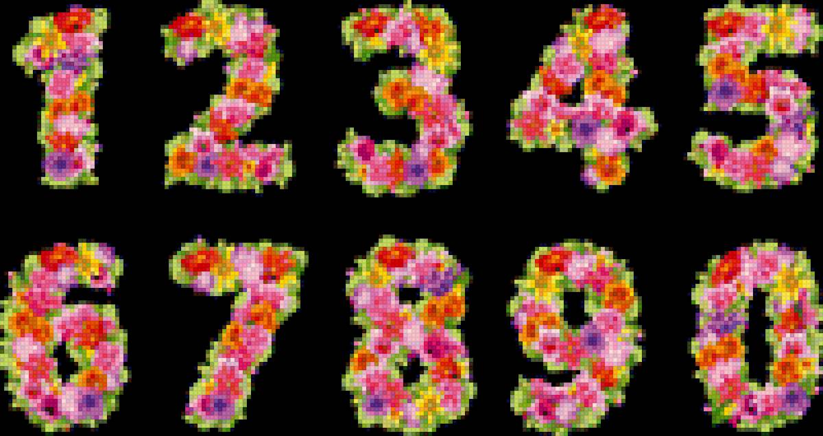 Цифры цветочные - школа, цифры, оформление, счет, цветы - предпросмотр