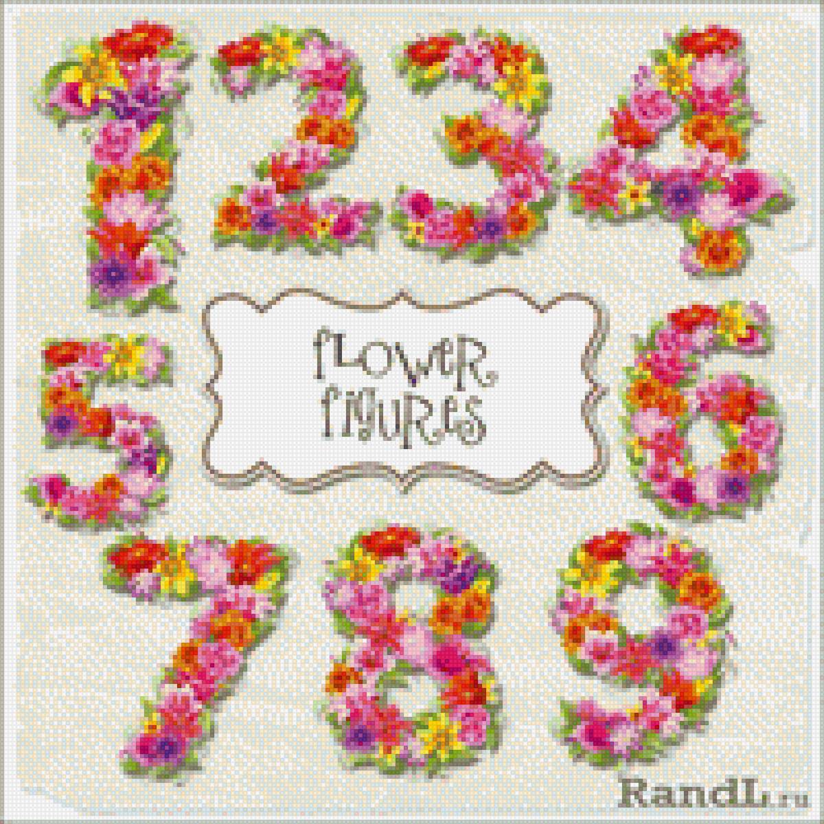 Цифры цветочные - школа, счет, цифры, оформление, цветы - предпросмотр