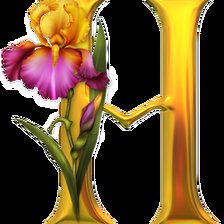 Схема вышивки «Алфавит с цветами»