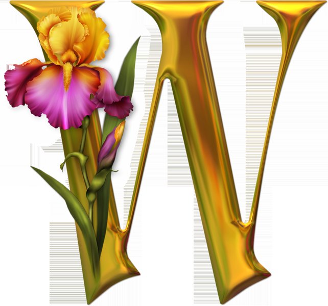 Алфавит с цветами - цветы, алфавит, английский, абетка - оригинал