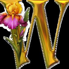 Алфавит с цветами