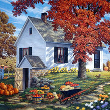 Урожай собран!