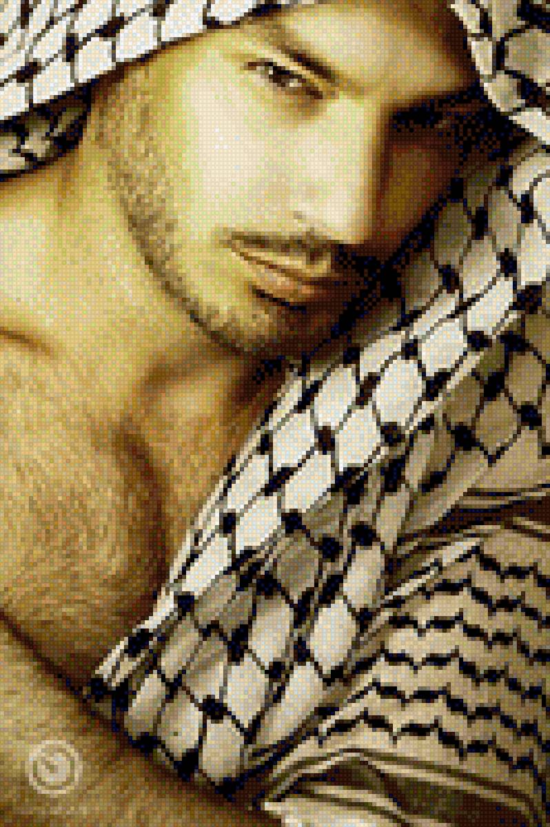 Арабиен - народ, арабы, аравия, разые страны, жители - предпросмотр