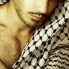 Схема вышивки «Арабиен»