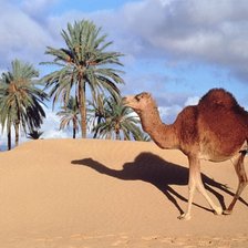 Схема вышивки «Арабиен»