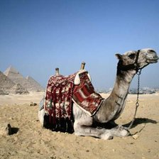 Схема вышивки «Арабиен»