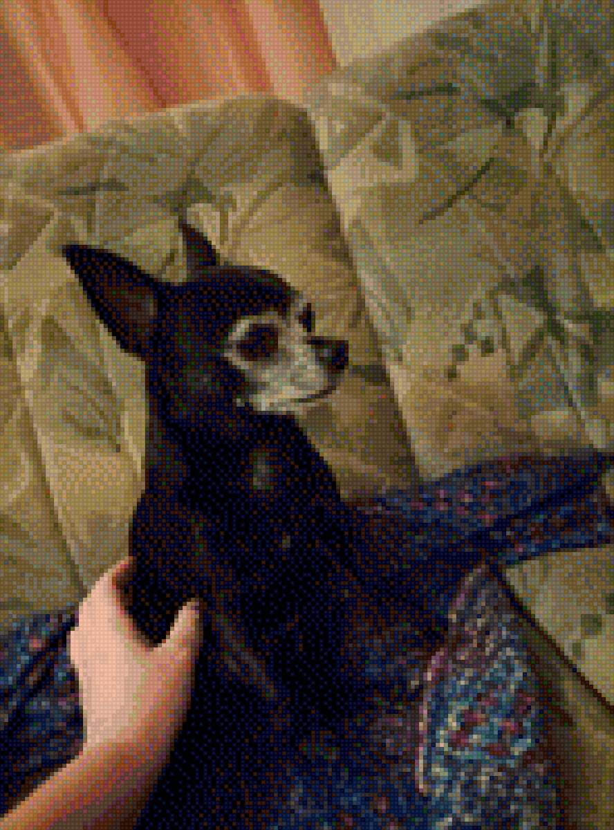 Чихуа-хуа - чихуа-хуа, домашние любимцы, собака, порода - предпросмотр