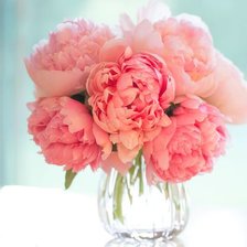 Схема вышивки «Пионы»