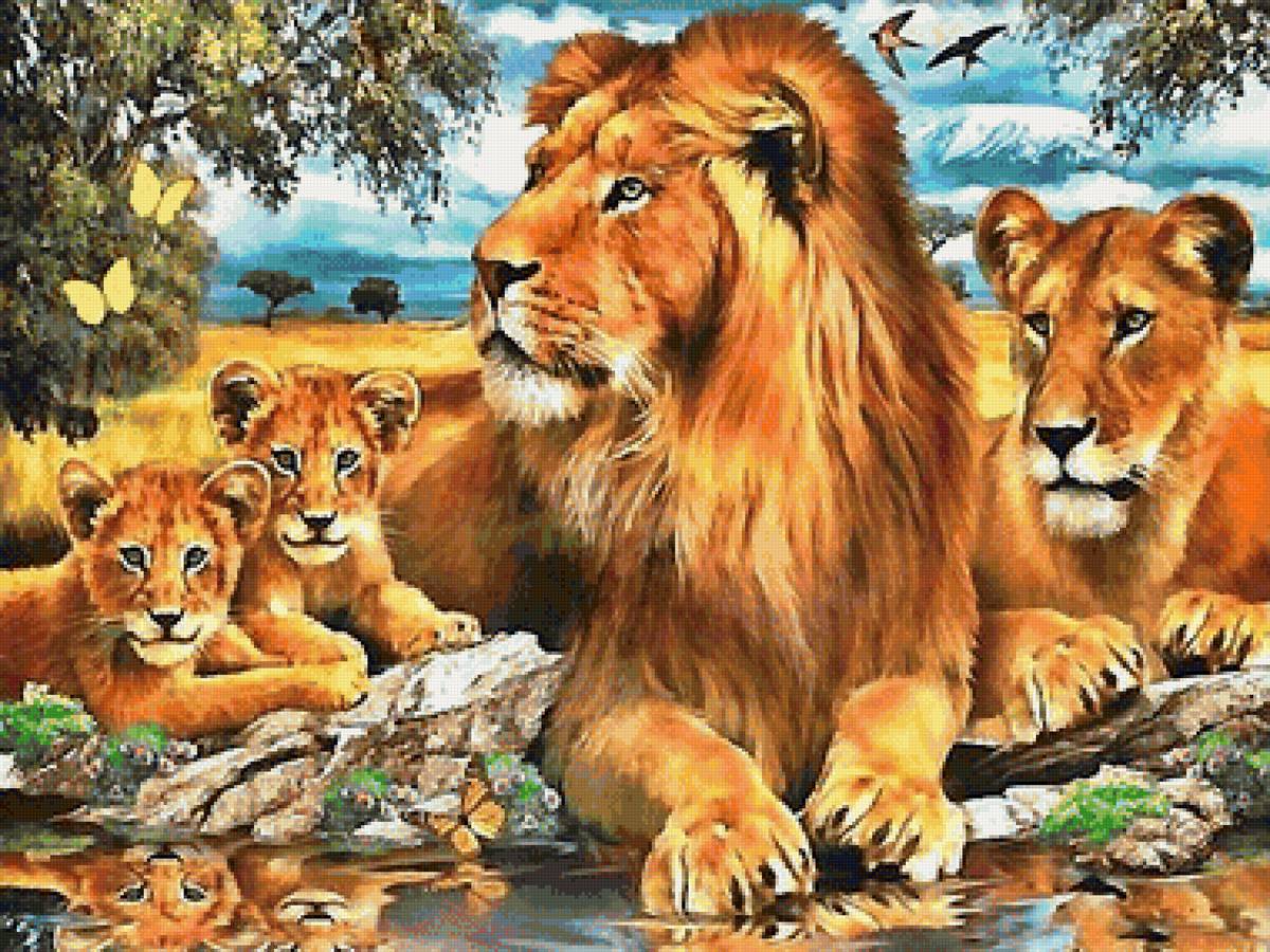 львы - предпросмотр