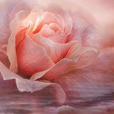 Схема вышивки «роза»