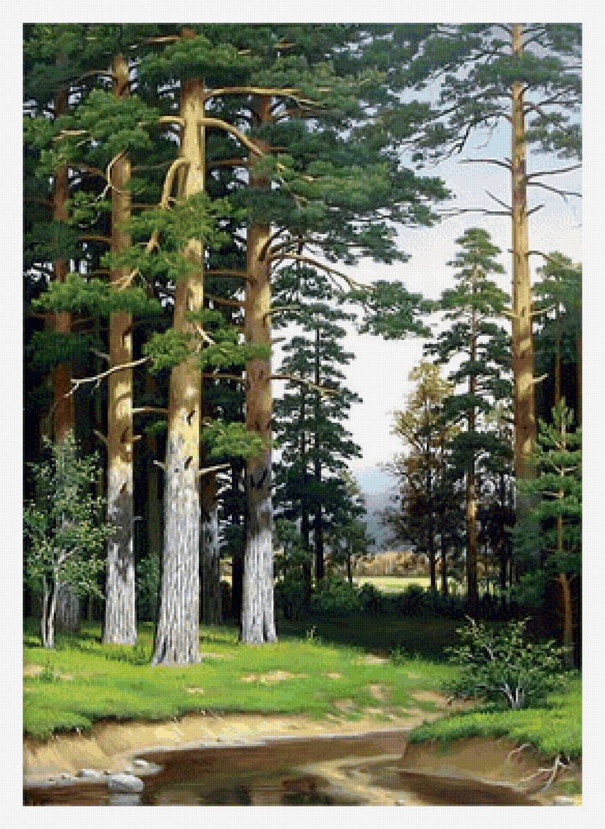 Сосны. - сосны, природа, живопись, пейзаж, лето, лес - предпросмотр