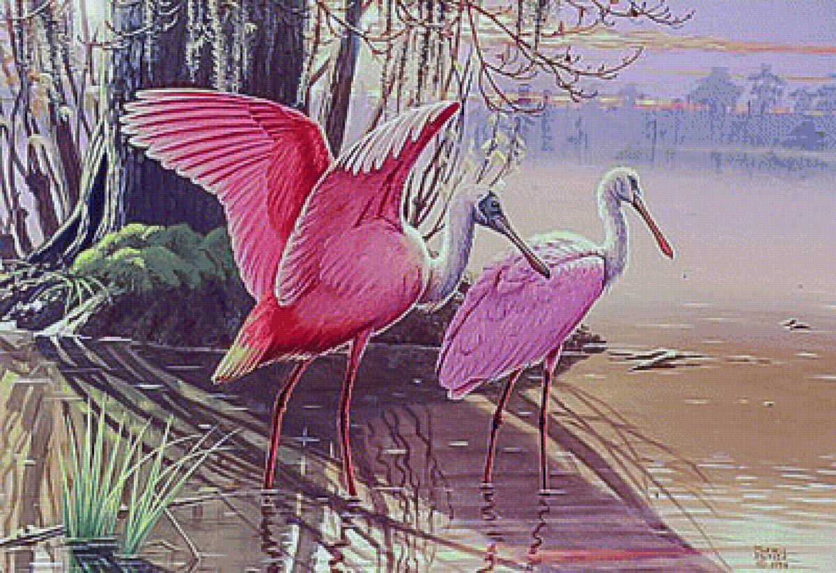 Roseatte Spoonbills- - murrell butler paintings.scenarys.birds. - предпросмотр