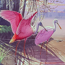 Схема вышивки «Roseatte Spoonbills-»