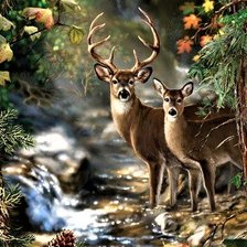 Схема вышивки «№2041858»