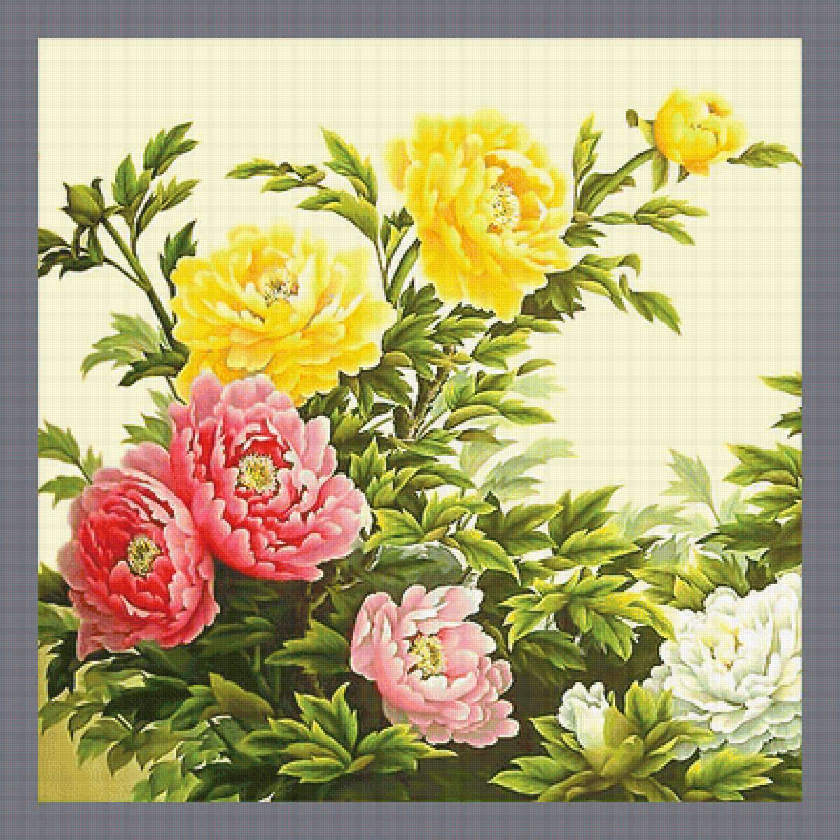 Серия "Букет". Китайский пион - пионы, флора, цветы, букет - предпросмотр