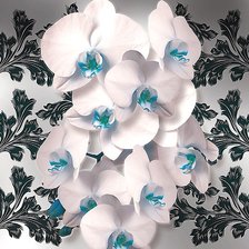 Схема вышивки «архидея»