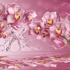 Схема вышивки «архидеи»