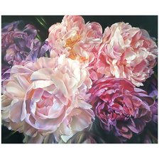 Схема вышивки «Пионы.»