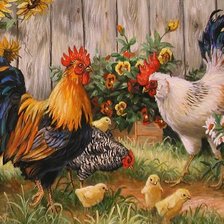 Куриное семейство