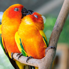 Схема вышивки «№2042310»