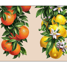 Схема вышивки «Цитрусы.»