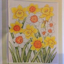 Схема вышивки «Нарциссы»