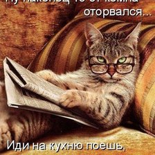 Схема вышивки «Мудрый кот»