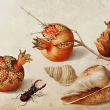 Схема вышивки «Гранаты»