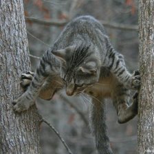 Схема вышивки «Тяжелый спуск»