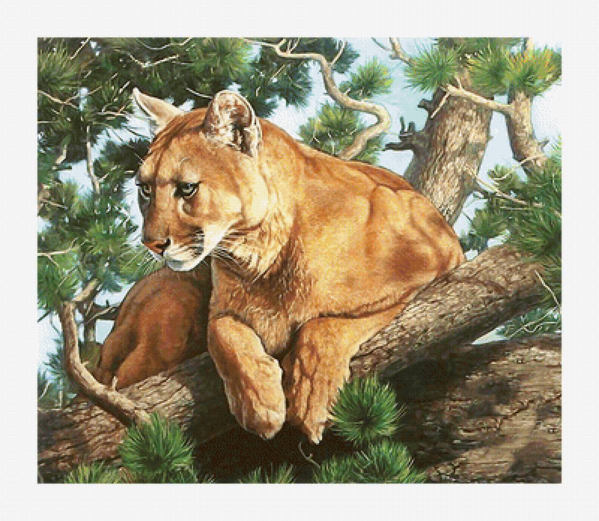 Серия "Хищники". - хищники, животные - предпросмотр