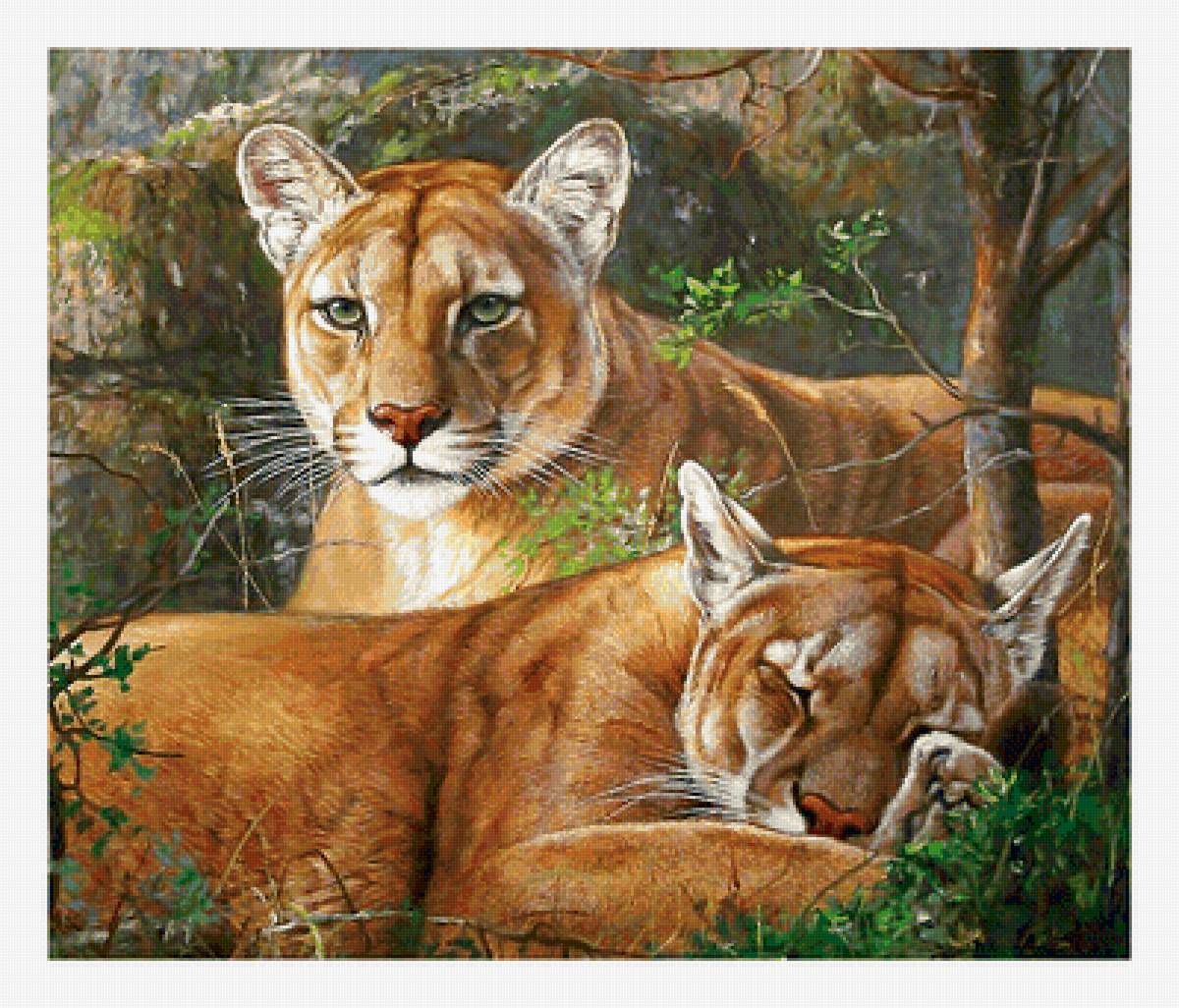 Серия "Хищники". - хищники, животные - предпросмотр