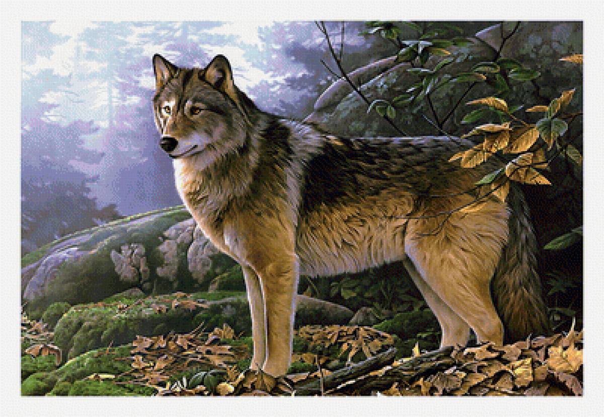 Серия "Хищники". - хищники, животные - предпросмотр