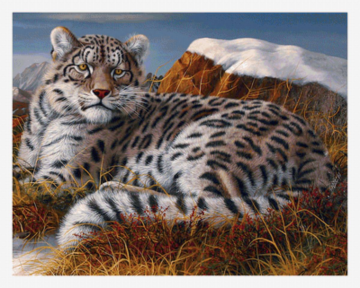 Серия "Хищники". - хищники, животные - предпросмотр