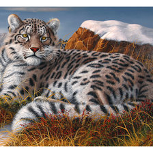 Схема вышивки «Серия "Хищники".»