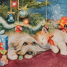 Waiting and Wondering.