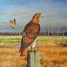 Схема вышивки «The Last Hunt of the Day.»