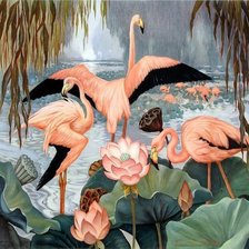 Фламинго