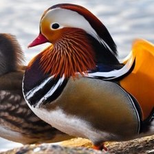 Схема вышивки «№2043151»