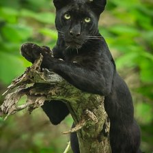 Схема вышивки «№2043169»