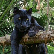 Схема вышивки «№2043178»