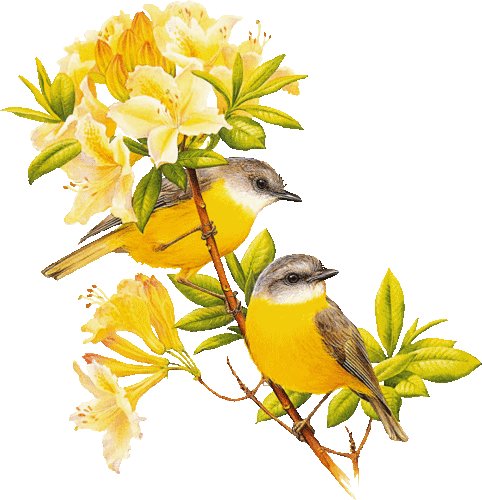 Птицы на ветке - птицы, ветка, картина, цветы - оригинал