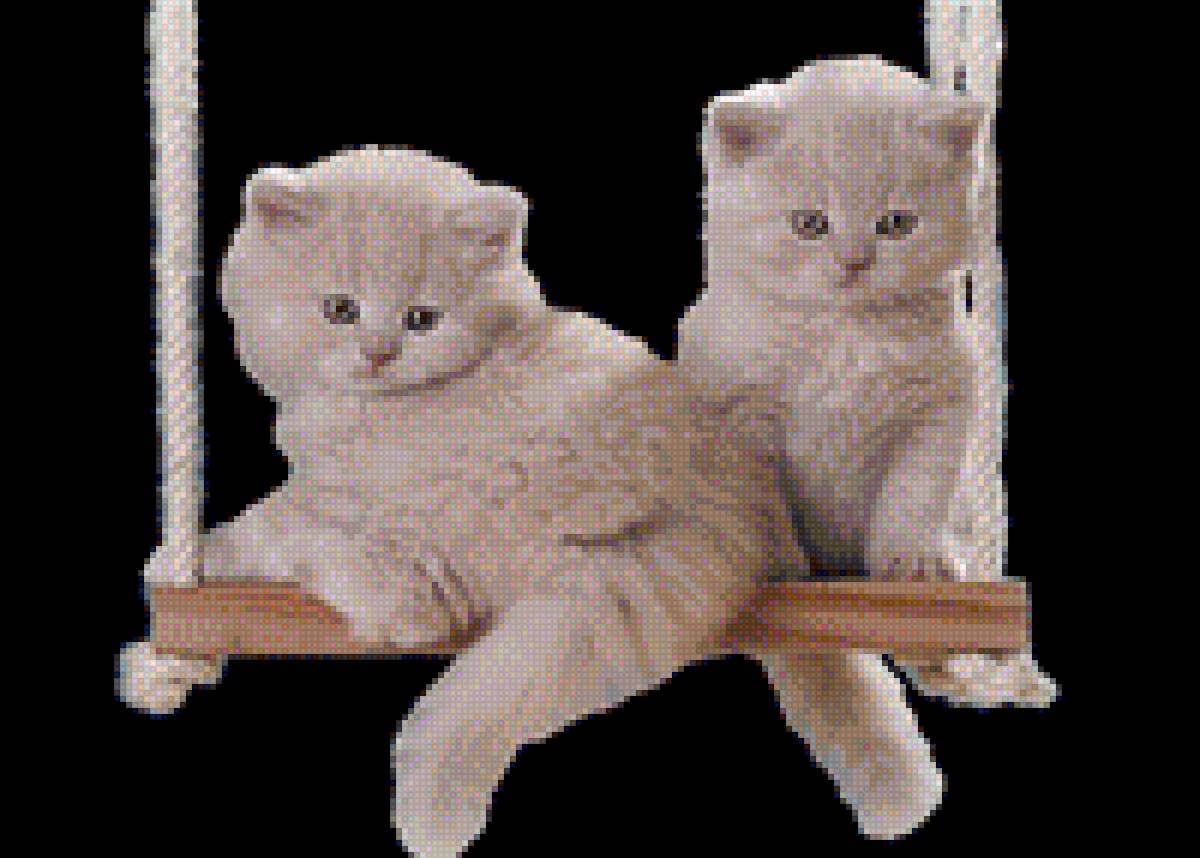 Котята на качелях - дом, фото, британцы, качели, котята - предпросмотр