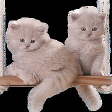 Схема вышивки «Котята на качелях»